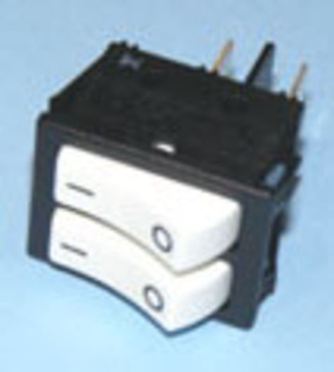 INTERRUPTOR DOBLE 49HF0991 - Imagen 1