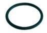 Junta tórica EPDM espesor 5,34mm int.ø 56,52mm,  A.ANP169 - Imagen 1