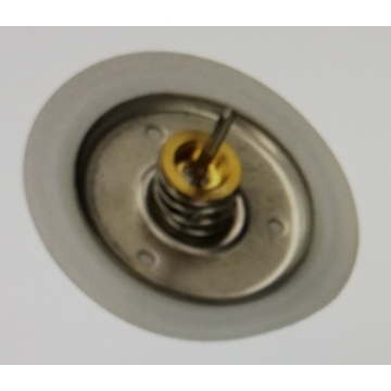 MEMBRANA CALDERA  COINTRA, M20  DIAMETRO EXTERIOR 75MM,  JUNKERS, CGW25,   367270001, 44CT0054 - Imagen 1