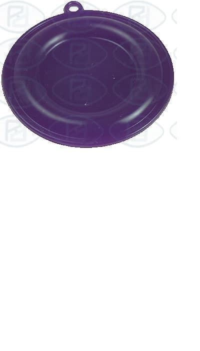 MEMBRANA CALENTADOR COINTRA 10 L  66 MM   5281502100 - Imagen 1