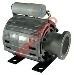 MOTOR CAFETERA TORNILLO STANDARD A.V237 - Imagen 1