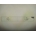PANEL DE MANDOS HORNO ZANUSSI,  INOX, 600MM, 140202934026 - Imagen 1