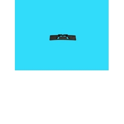 PATIN RODAMIENTO SECADORA INDESIT DELANTERO  C00112144 - Imagen 1