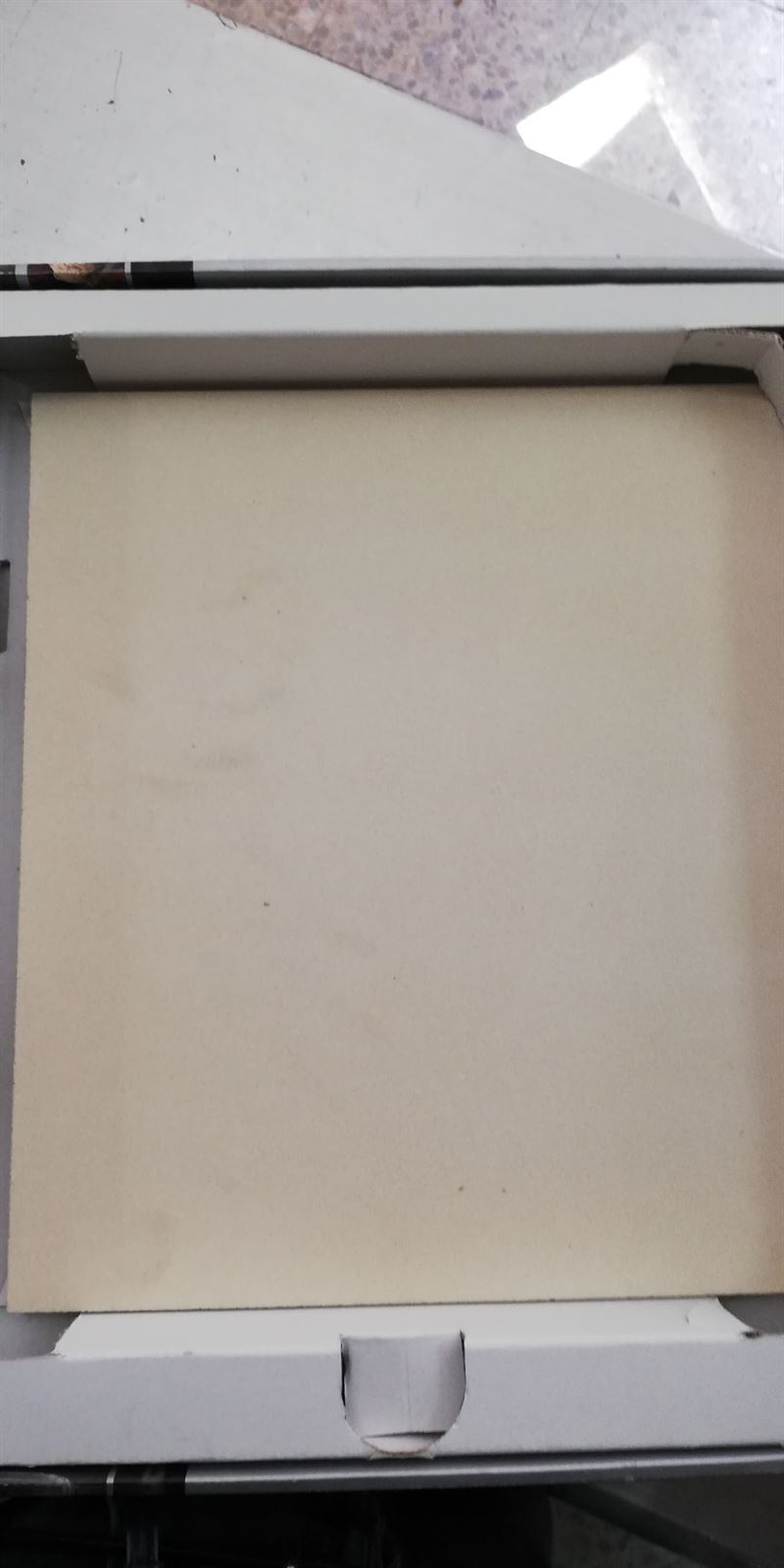 PIEDRA PARA HACER PIZZA A LA PIEDRA EN EL HORNO, RECAMBIO ORIGINAL ELECTROLUX,  9029792760 - Imagen 1