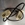 PORTALAMPARAS HALOGENO, LED, GU10, CAMPANA CATA GT PLUS45IX, 15107000 - Imagen 2