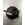 PRESOSTATO AIRE CALDERA FERROLI, C6065, DOMINA, DIVATOP F37,  39805630, 52FE0001, 283000003, I39805630 - Imagen 2