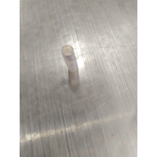 PROTECCION TORNILLO RESISTENCIA HORNO AEG,    3302066018 - Imagen 1