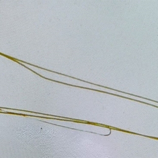 TERMOPAR CALENTADOR SAUNIER OPALIA C11, S1221900, con sondas termostato,  S1221900 - Imagen 1