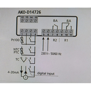 TERMOSTATO DIGITAL AKO, TERMOSTATO PARA HORNO, 1000ºC, ENTRADA PARA SONDA, pt100, NTC, PTC, Termopar K y J,  230V, 4/20 mA,  D14726 - Imagen 2