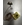 TERMOSTATO LAVADORA UNIVERSAL REGULABLE, 90ºC, 15A, 250V, 2 CONTACTOS, CAPILAR 1250MM, BULBO 31/23/11MM, 3588008700 - Imagen 1