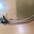 TERMOSTATO PLANCHA POLTI, CON FUSIBLE Y CABLES, 8063577 - Imagen 1