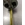 TERMOSTATO TERMO SIN REARME VARILLA 6X270 MM 20 AMPERIOS 2 POLOS (kit 2 unidades) 5070006212 - Imagen 2