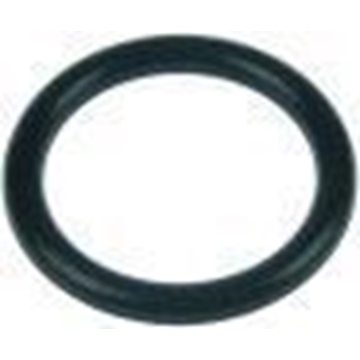 TORICA RESISTENCIA (CONJUNTO) A.SAM115 - Imagen 1